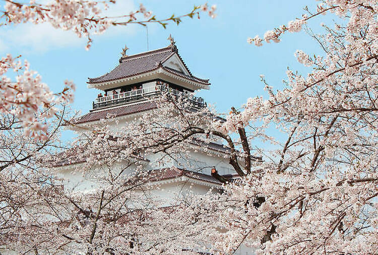 東北探索