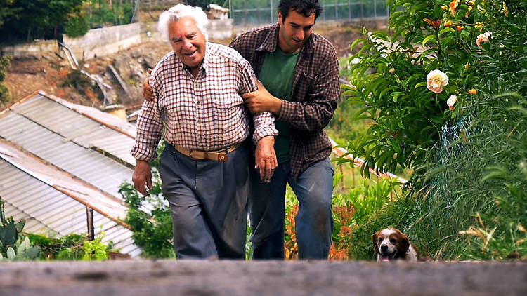 'Le Potager de mon grand-père'