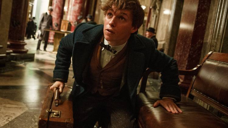 Fantastic Beasts and Where to Find Them