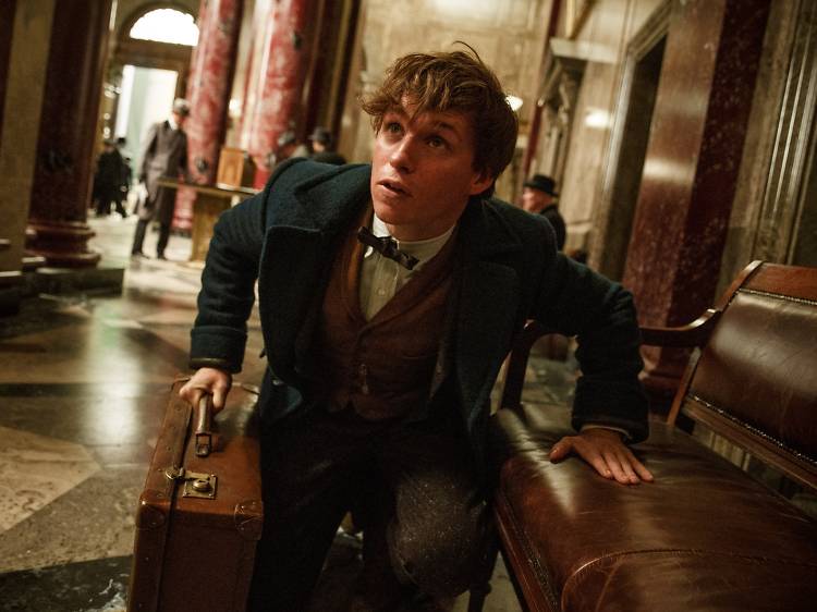 Fantastic Beasts and Where to Find Them