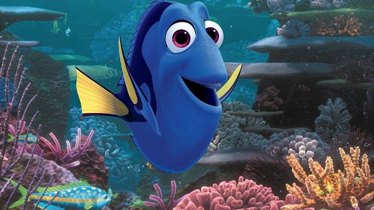 Finding Dory