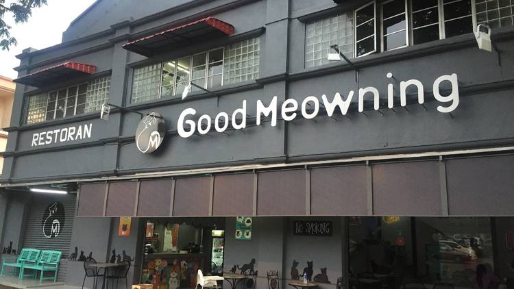 Good Meowning cafe