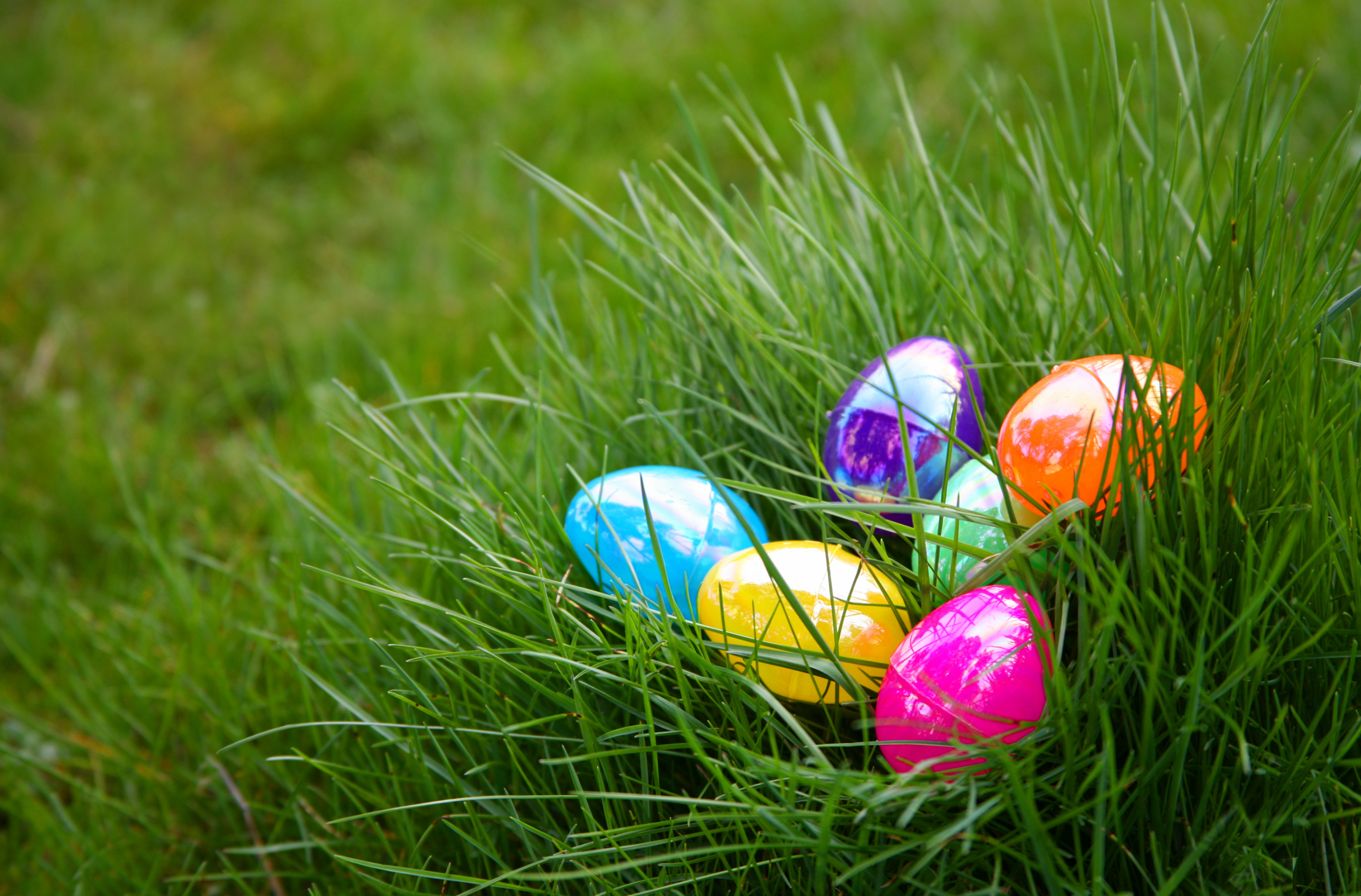 Where to Go on an Easter Egg Hunt in Los Angeles