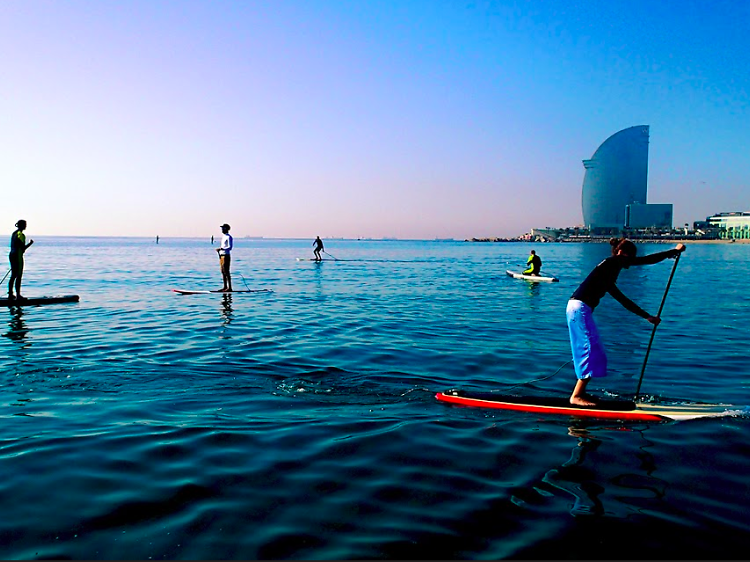 Stand Up Paddle