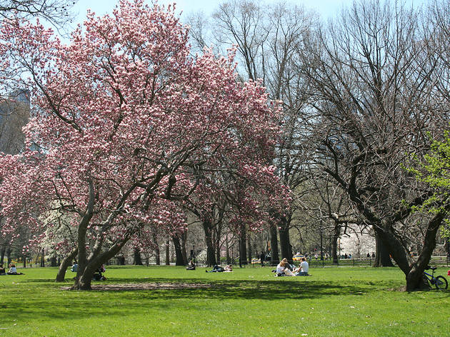 45 fantastic things to do in NYC in April