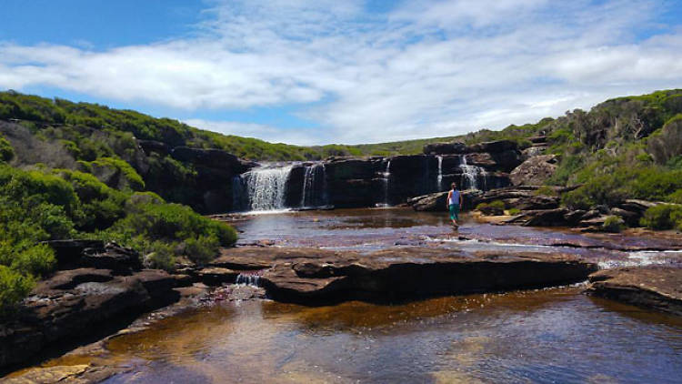 Royal National Park