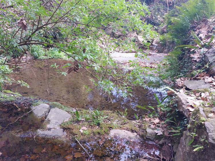 Visitar les gorgues de Llorà