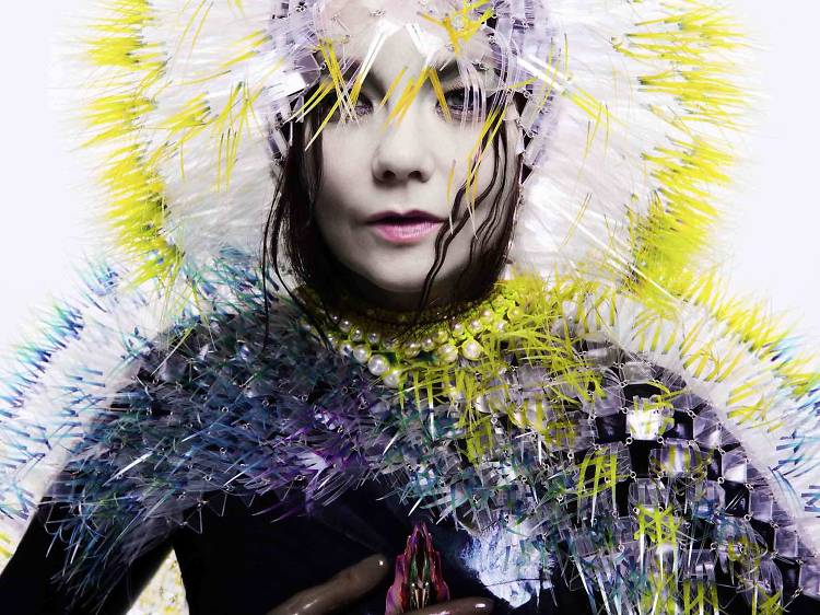 Björk – ‘Vulnicura’