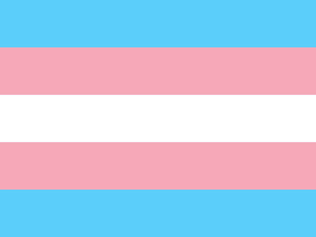 Bandera Trans Bandera Trans