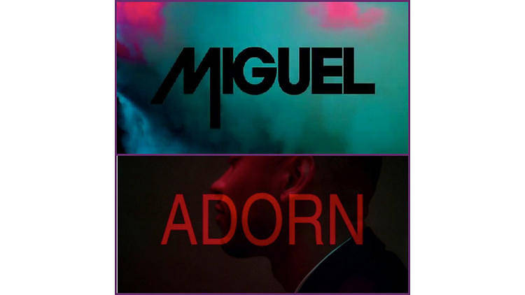 ‘Adorn’ – Miguel