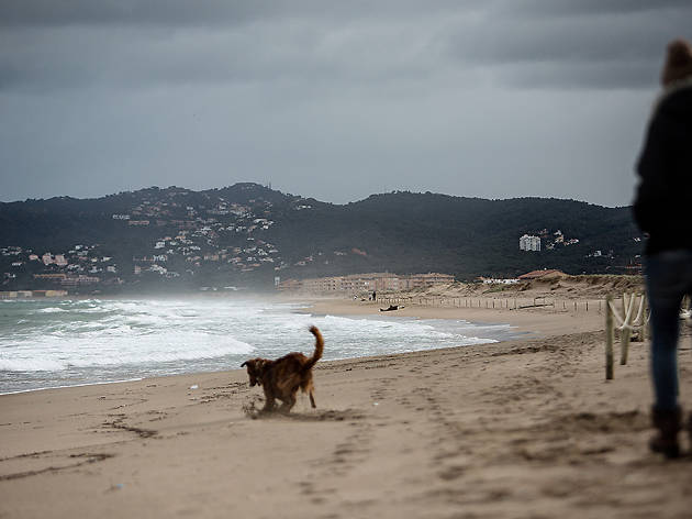 Platja de Gola de Ter Platja de Gola de Ter
