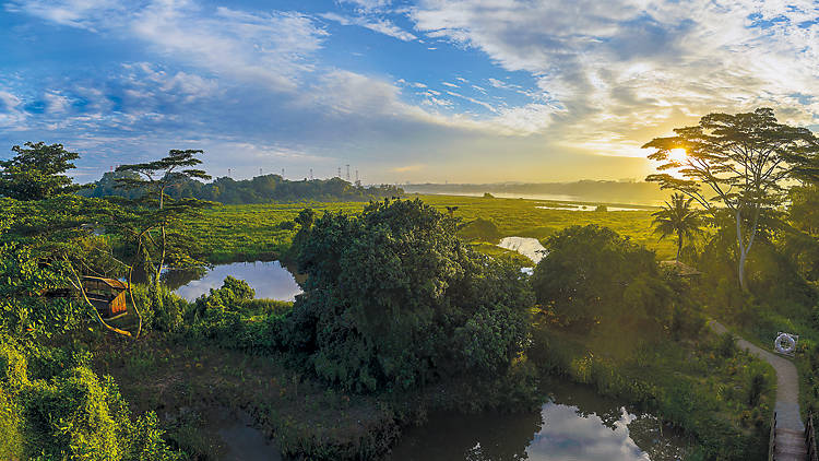 Catch the sunset at Kranji Marshes