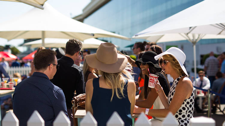 Relaxed Racing Caulfield Blue Diamond Day