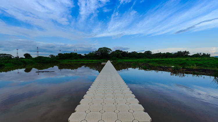 Take an epic shot of the floating boardwalk