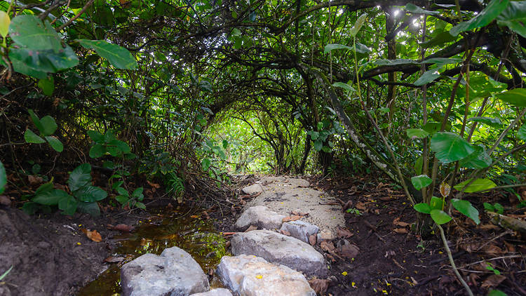 Indulge your inner child with sticks and stones