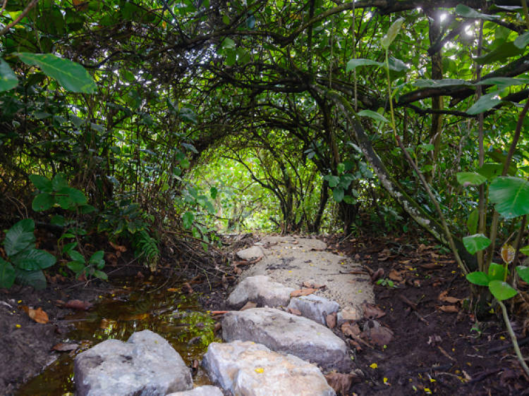 Indulge your inner child with sticks and stones