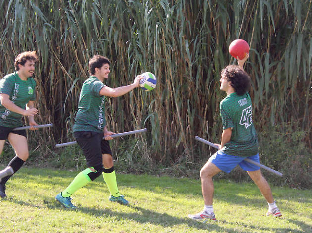 Quidditch Quidditch