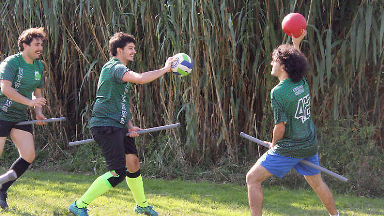 Quidditch