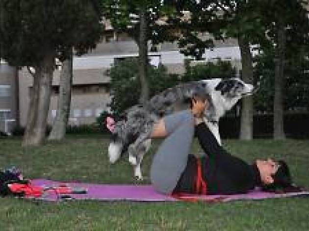 Doga Doga