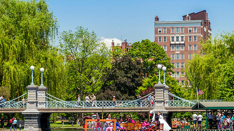 Wander around Boston Common and the Public Garden