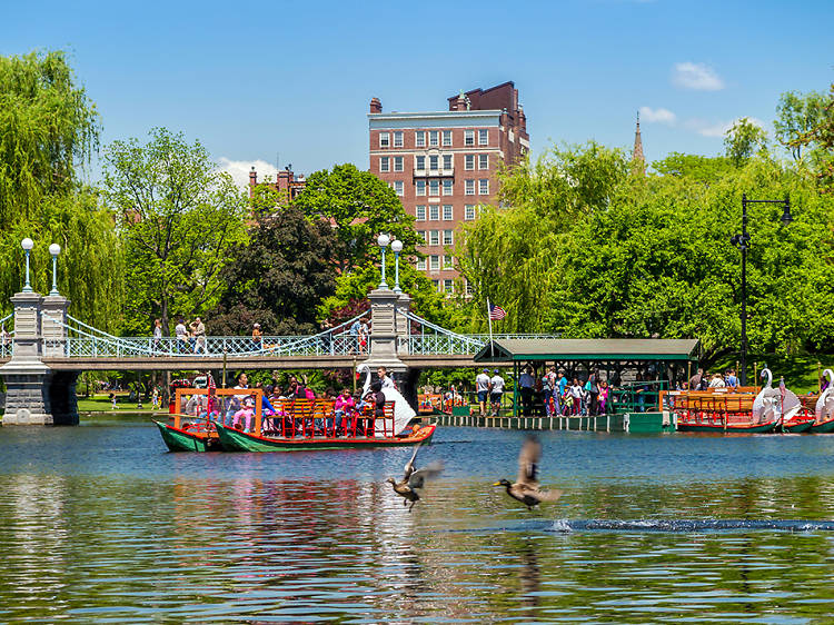 Wander around Boston Common and the Public Garden