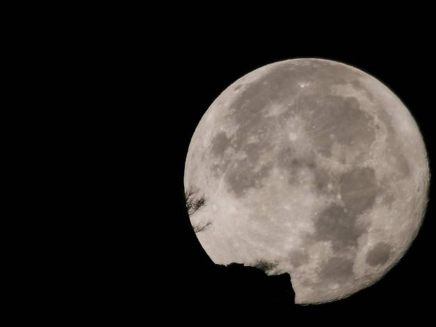 Full Moon Run Full Moon Run