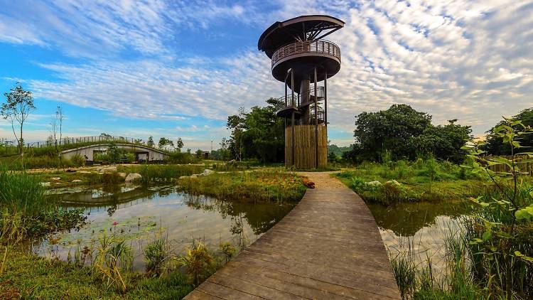 Enjoy panoramic views of the Marshes