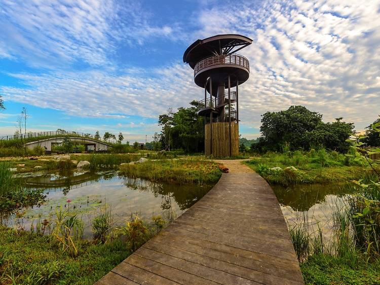 Enjoy panoramic views of the Marshes