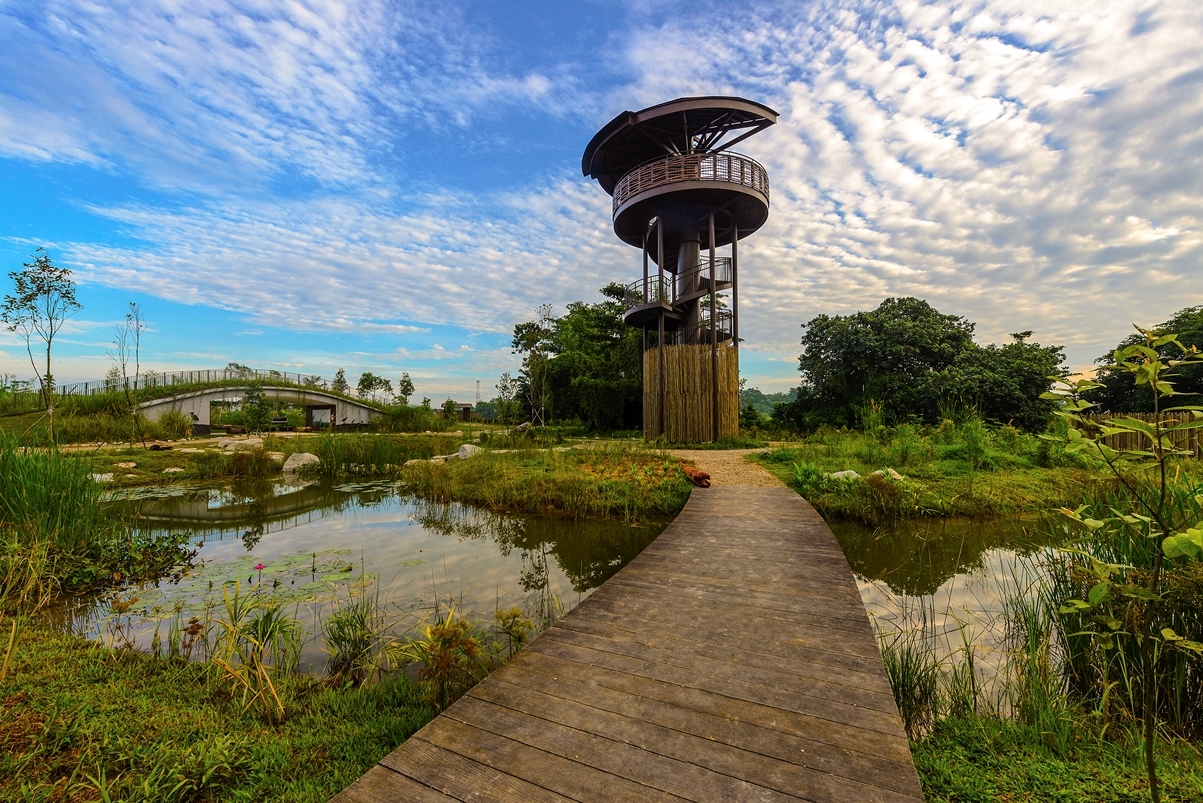 Bird Watching Tower by a Wetland in Eastern Poland Stock Image - Image of  deciduous, spring: 179009157