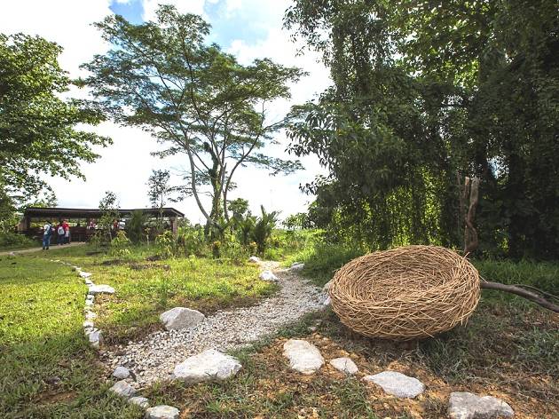 Kranji Marshes Kranji Marshes