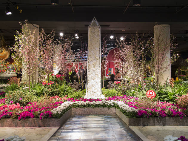 Macy's Flower Show, March 20, 2016