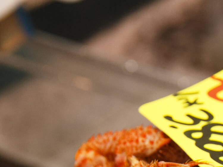 Tsukiji fish market walk