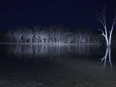 Lake Mungo (2008)