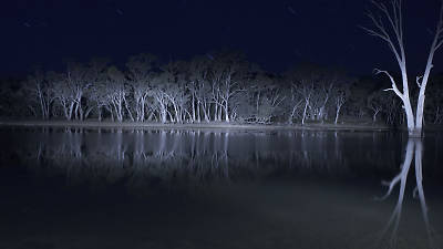 Lake Mungo (2008)
