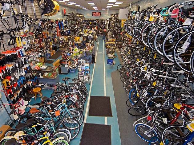 find nearest bike shop