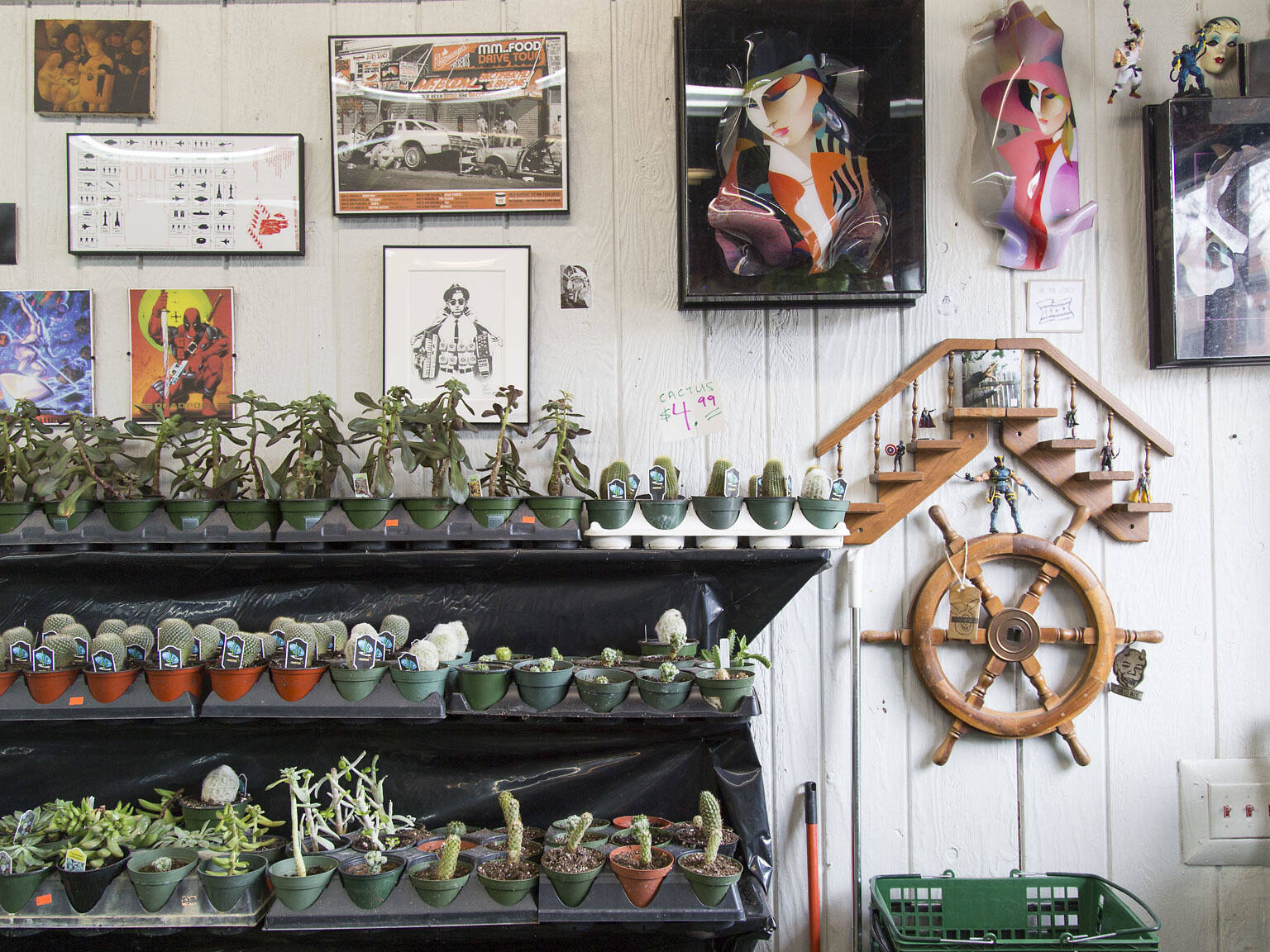 14 Chicago Plant Stores For Finding Home Greenery