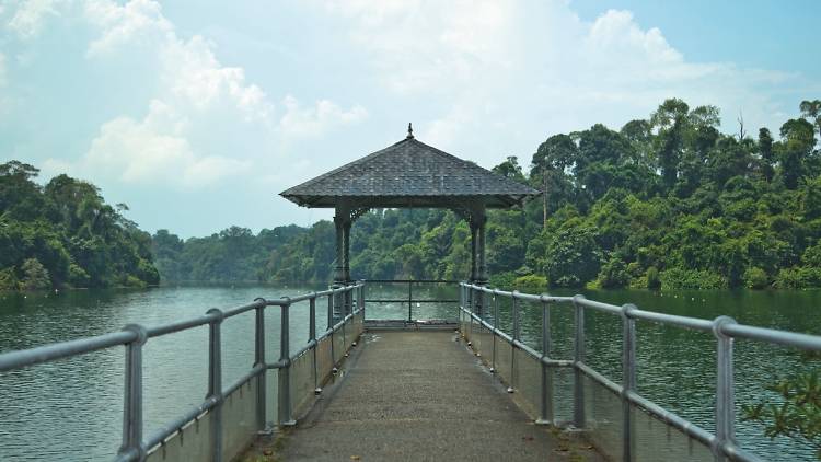 MacRitchie