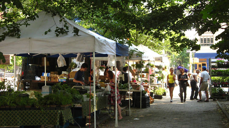 Fort Greene Park Greenmarket