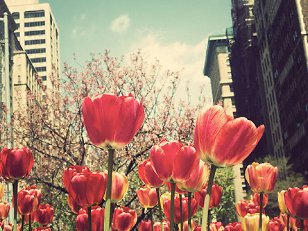 The best Mother’s Day events in NYC The best Mother’s Day events in NYC