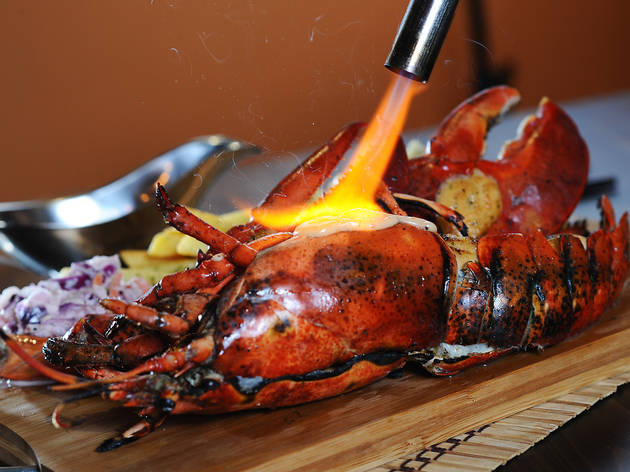 Steaks & Lobsters lobster Steaks & Lobsters lobster