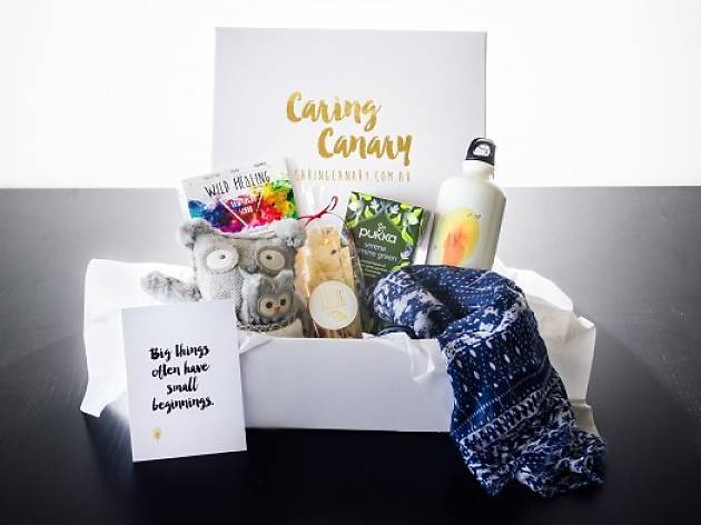Caring Canary Caring Canary