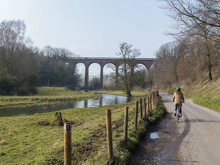 Cycling without stopping for red lights