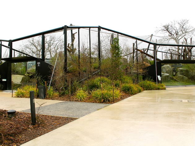 zoo vincennes zoo vincennes (© C.Gaillard)