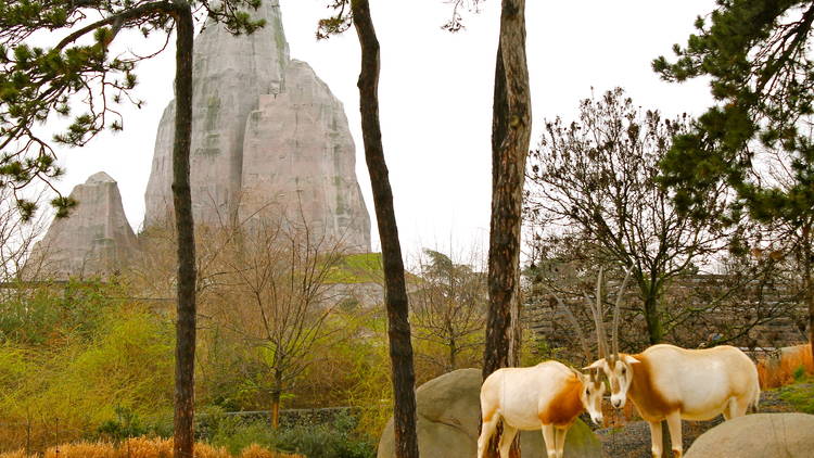 zoo vincennes (© C.Gaillard)