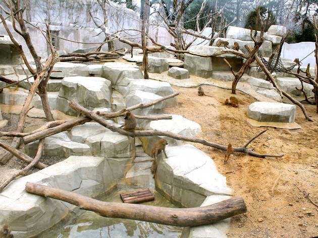 zoo vincennes zoo vincennes (© C.Gaillard)