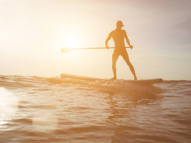 Paddle surf Paddle surf