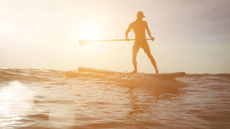 Paddle Surf