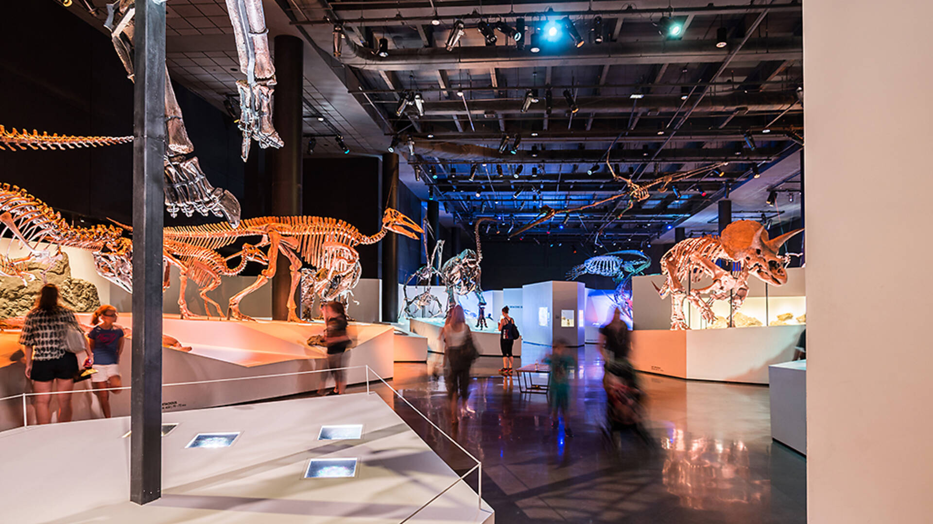 IS THE HOUSTON MUSEUM OF NATURAL SCIENCE OPEN ON MEMORIAL DAY visual data 6