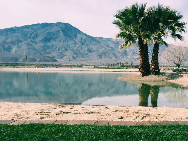 Your very own desert oasis