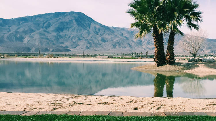 Your very own desert oasis 